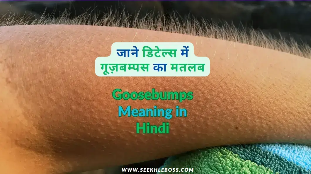 goosebumps-meaning-in-hindi