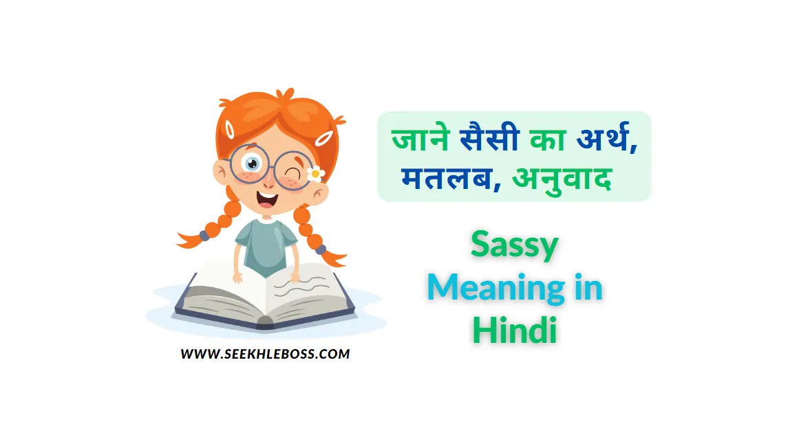sassy-meaning-in-hindi