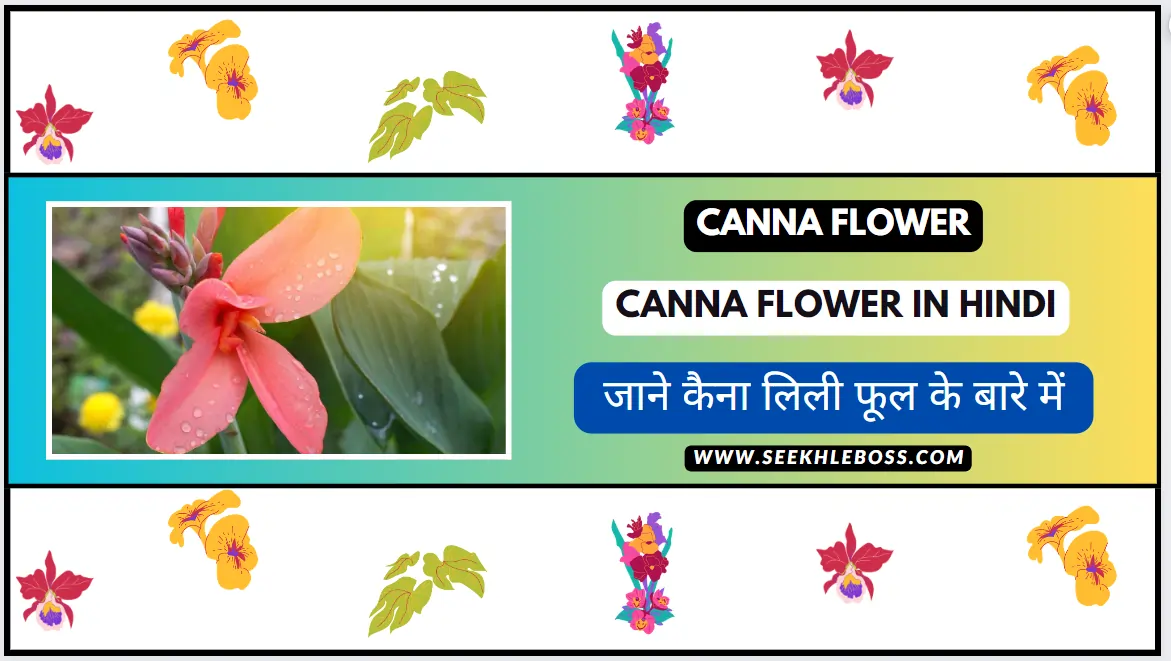 canna-flower-in-hindi
